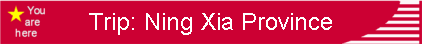 Trip: Ning Xia Province